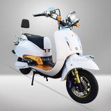 Electric Scooter with 800W Power