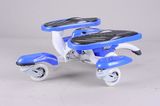 Rolleagle Skateboard (TC30) 