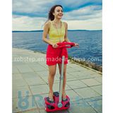 Two Wheel Personal Transporter, Electric Mobility Scooters (Robin-M1)