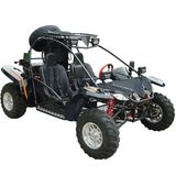 1100CC Go Kart (FPG1100E)