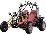 250cc Water Cooled Automatic Go Kart With Chain Drive