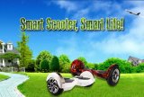 Hottest Hot Selling! Self Balancing Scooter Parts