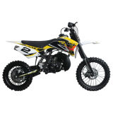 CE Approved Koshine 50cc Dirt Bike Air Cooled motorcycle