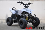 50CC/70CC/90CC/110CC/125CC ATV Quad Bike (QW-ATV-02A)