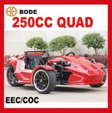 EEC 250cc Reverse Trike ATV (MC-369)