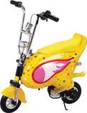 Electric Scooter-CD17