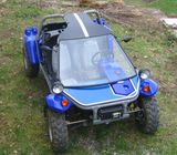 Mutstang 650CC Buggy