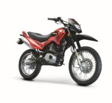 Motorcycle (BRG250GY-7)