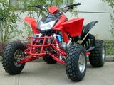 250CC ATV (QY250ATV-F)