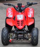 Cheap Price 500W Electric ATV