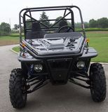 4X4 Go Kart, 1100CC Go Kart, Sand Beach Buggy