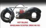 2 Strokes, Ai -Cooled 50cc Hot Selling Gas Wheelman Scooter