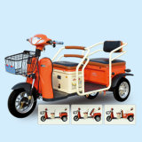 Hot Salt Popular Electric Tricycle Electric Scooter Electric Mobility Scooter