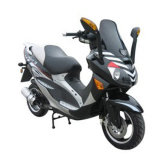 Gas Scooter (YL50QT-37B)