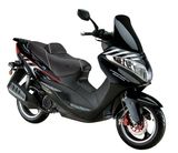 125CC EEC Scooter (Exclusive Model)