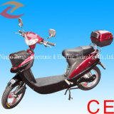 Electric Bicycle (ZYEB-R21)