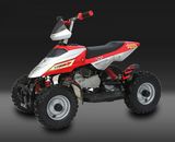 Hot Model 49CC Mini Quad (FW-MA002)