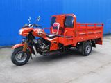 Quality Three Wheeled Truck with Big Shock Absorber and Strong Cargo Box