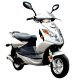 Scooter (ZX50QT-7) -2