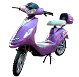 Electric Bicycle (EB-04)