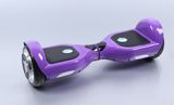 E-Rider