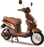 Best 48V 20ah 500W Mobility Electric Scooter (AM-Mango)