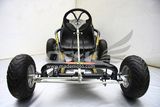 Hot Selling Sports Racing Go Karts