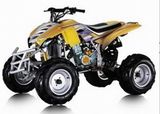 XY-ATV (200A)