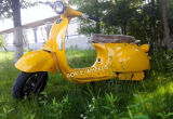 1000W60V Vintage Design Electric Motorcycle Electric Scooter (EM-006)