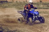 150cc Automatic Racing Sports Exclusive Design ATV (MDL GA017-2)