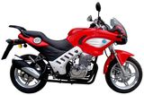 Motorcycle (PM250-1)