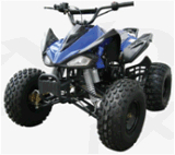 110CC ATV (GBT-ATV-004)