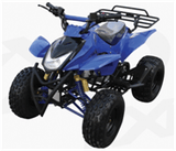 110CC ATV (GBT-ATV-003)