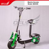 Electric Scooter (ES5009)