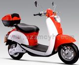 Electric Scooter (BL-XGW)