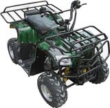 ATV (QUAD) Hummer 50/110CC (XW-A17B)