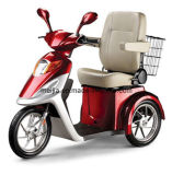 500W Disabled Mobility Scooter with CE Approval (MJ-04)