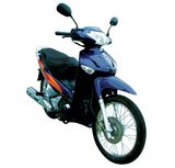 Motorcycle Cub (MCT125-11B)