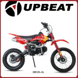 Upbeat Cheap Pit Dirt Bike 125cc