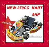 9HP 270CC Racing Go Kart, Racing Buggy (MC-474)