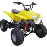 110CC 4-Stroke Engine ATV (AT1113)