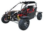 New 300cc Go Kart (Buggy-300cc-2A)