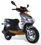 Scooter (ST50QT-9(EEC))