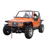 800CC UTV (GBTUTV800-X)