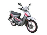 110cc/50cc Stepthru (BD110-11B-I)