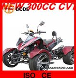 2012 New 300CC CVT Quad Bike (MC-361)