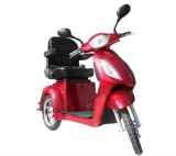 Hot Sale Big Seat Disabled 3 Wheel Electric Scooter 500W Brushless