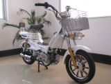 Fuel Bike (AH-V6)