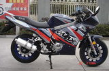 Motorcycle (GO MAX200)