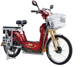 Economic Electric Bicycle